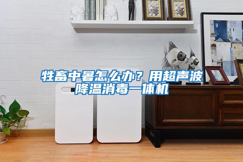 牲畜中暑怎么辦？用超聲波降溫消毒一體機(jī)