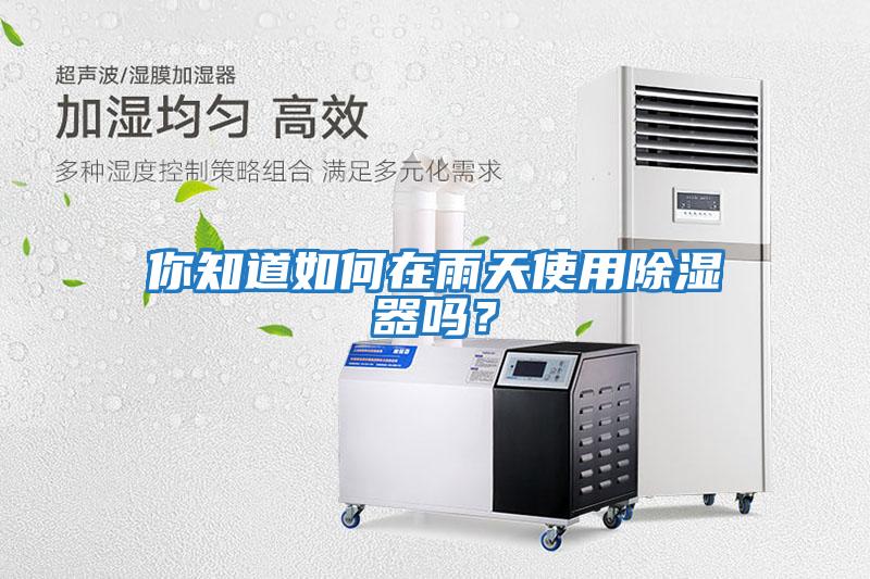 你知道如何在雨天使用除濕器嗎？