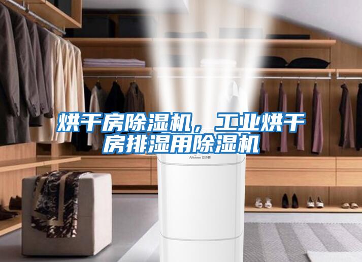 烘干房除濕機，工業烘干房排濕用除濕機