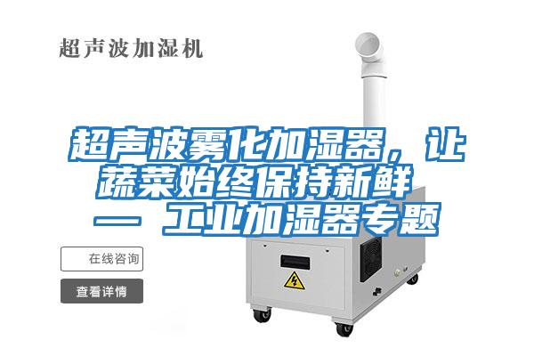 超聲波霧化加濕器，讓蔬菜始終保持新鮮 — 工業加濕器專題