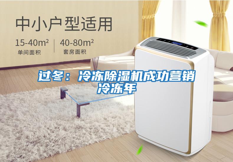 過(guò)冬:冷凍除濕機(jī)成功營(yíng)銷冷凍年