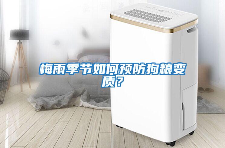 梅雨季節(jié)如何預防狗糧變質？