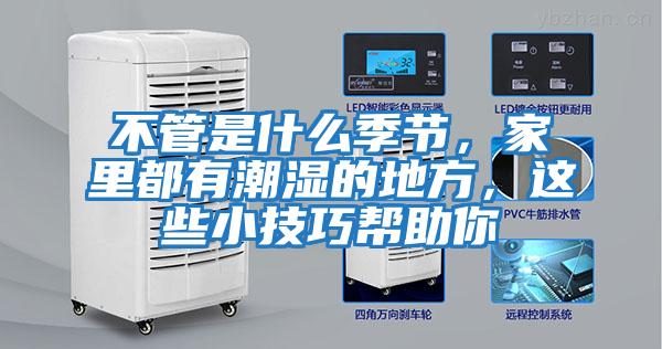 不管是什么季節，家里都有潮濕的地方，這些小技巧幫助你