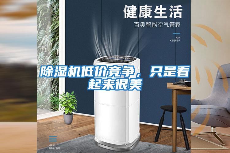 除濕機(jī)低價(jià)競爭，只是看起來很美