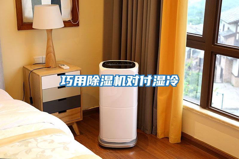 巧用除濕機(jī)對付濕冷