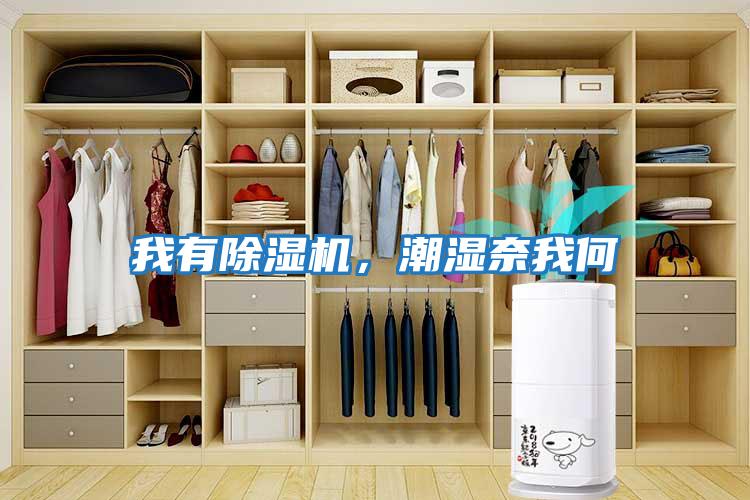 我有除濕機(jī)，潮濕奈我何