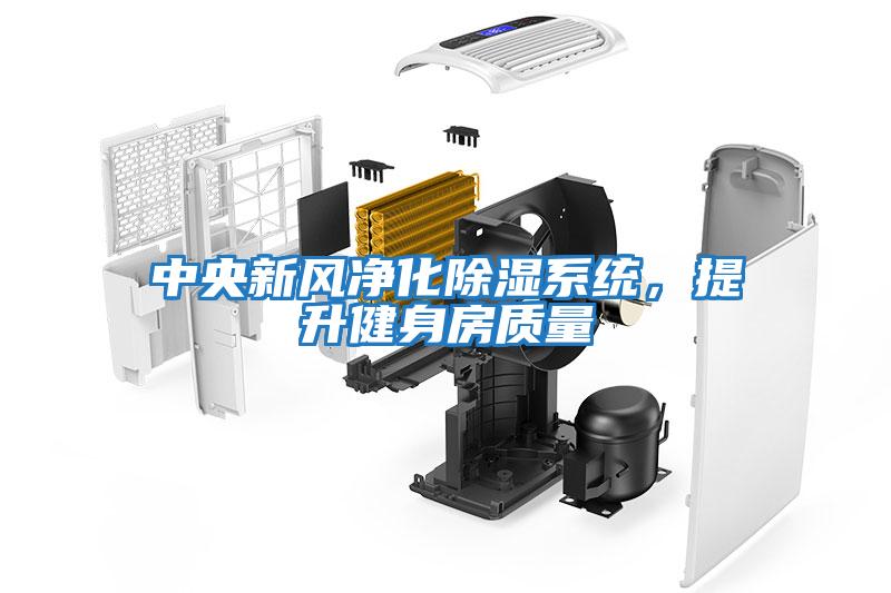 中央新風凈化除濕系統(tǒng)，提升健身房質量