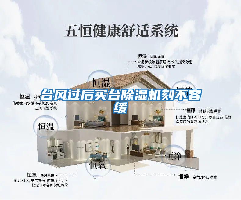 臺風過后買臺除濕機刻不容緩