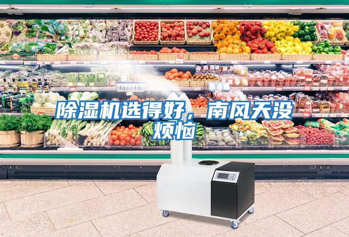除濕機選得好，南風(fēng)天沒煩惱