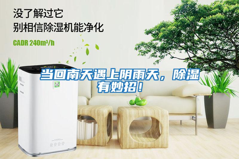 當(dāng)回南天遇上陰雨天，除濕有妙招！
