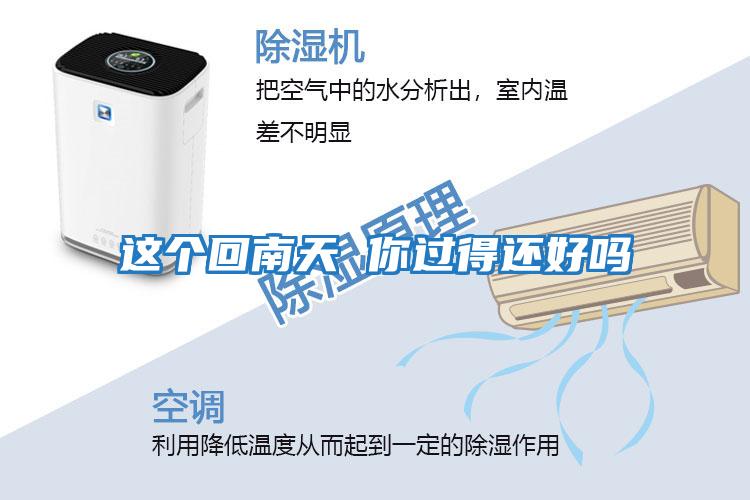 這個(gè)回南天 你過得還好嗎