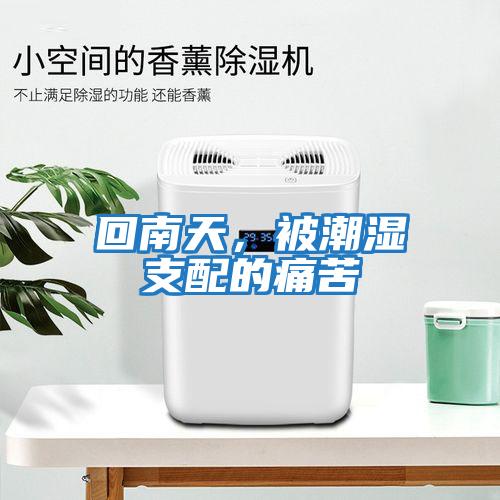 回南天，被潮濕支配的痛苦