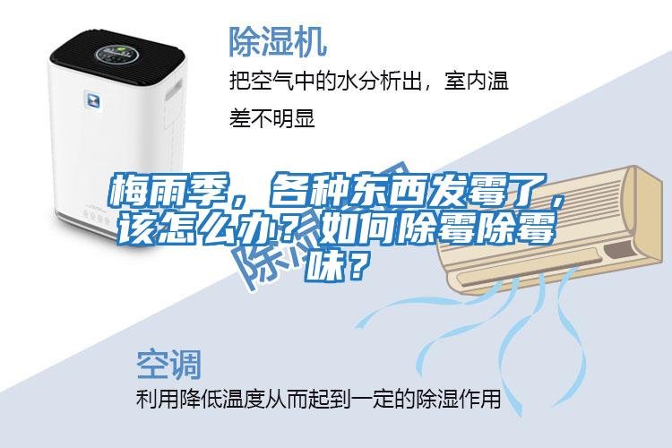 梅雨季，各種東西發霉了，該怎么辦？如何除霉除霉味？