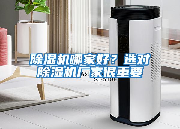 除濕機哪家好？選對除濕機廠家很重要