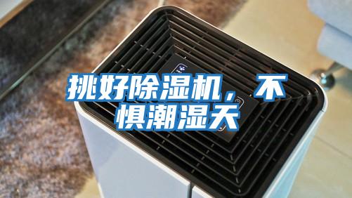 挑好除濕機，不懼潮濕天