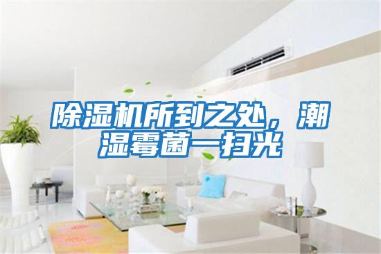 除濕機所到之處，潮濕霉菌一掃光