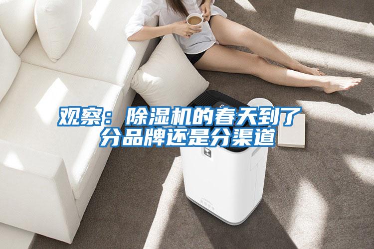 觀(guān)察：除濕機(jī)的春天到了 分品牌還是分渠道
