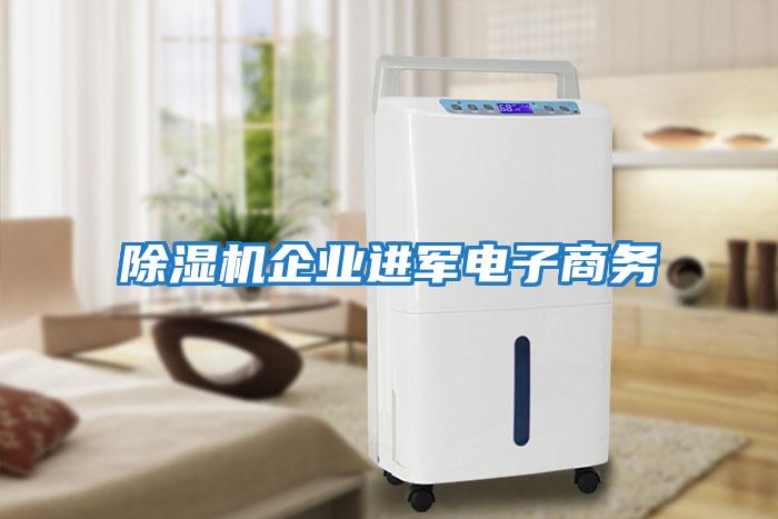 除濕機企業進軍電子商務