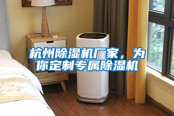 杭州除濕機廠家，為你定制專屬除濕機