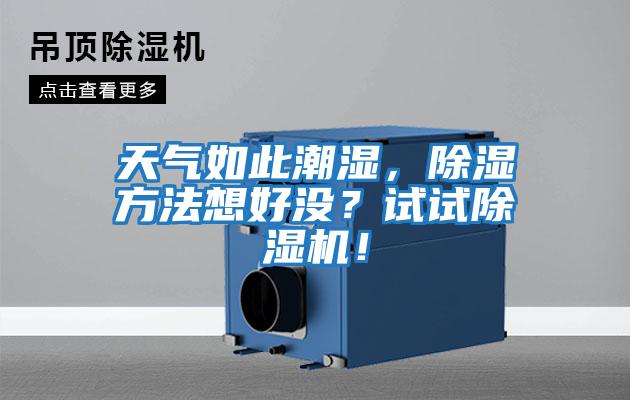 天氣如此潮濕，除濕方法想好沒？試試除濕機！