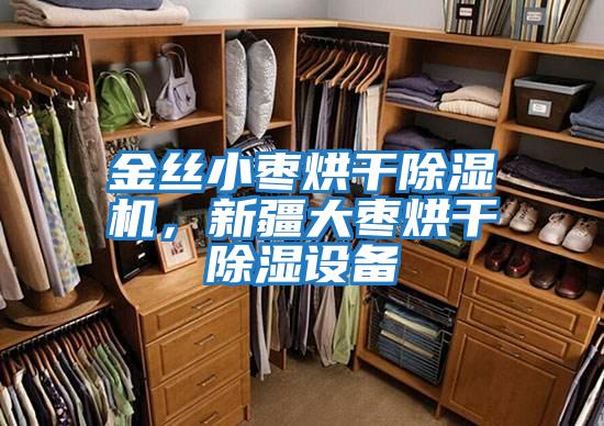 金絲小棗烘干除濕機，新疆大棗烘干除濕設備