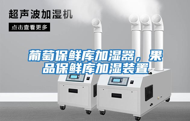 葡萄保鮮庫(kù)加濕器，果品保鮮庫(kù)加濕裝置