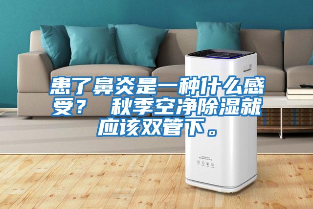 患了鼻炎是一種什么感受？ 秋季空凈除濕就應該雙管下。