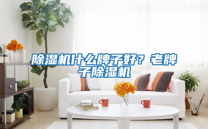 除濕機什么牌子好？老牌子除濕機