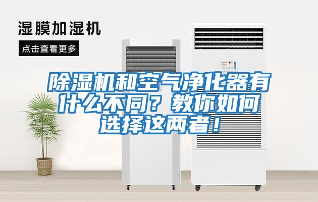 除濕機和空氣凈化器有什么不同？教你如何選擇這兩者！
