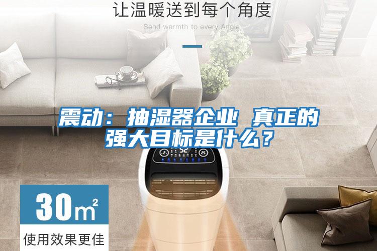 震動：抽濕器企業(yè) 真正的強(qiáng)大目標(biāo)是什么？