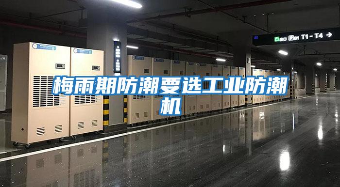 梅雨期防潮要選工業防潮機