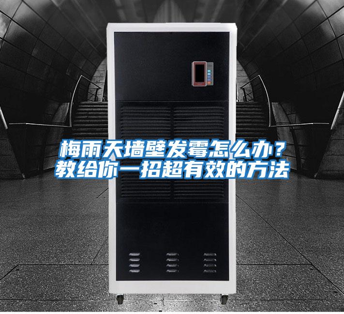 梅雨天墻壁發霉怎么辦？教給你一招超有效的方法