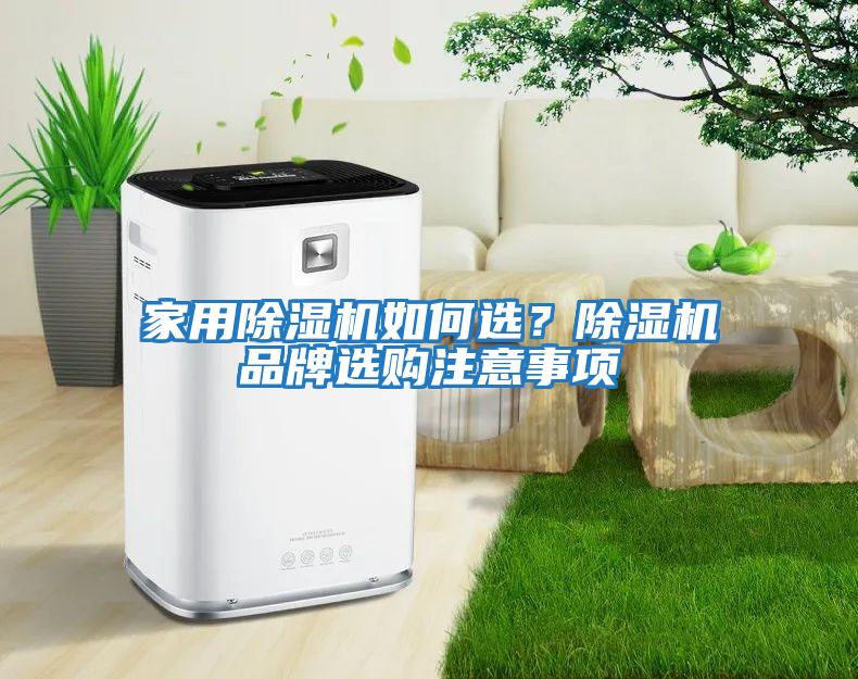 家用除濕機如何選？除濕機品牌選購注意事項