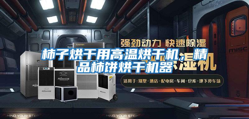 柿子烘干用高溫烘干機(jī),精品柿餅烘干機(jī)器