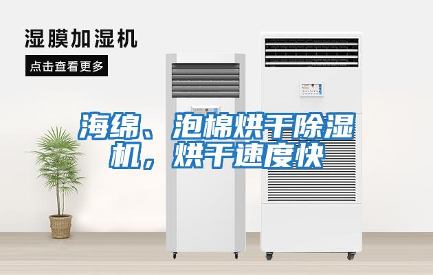 海綿、泡棉烘干除濕機，烘干速度快