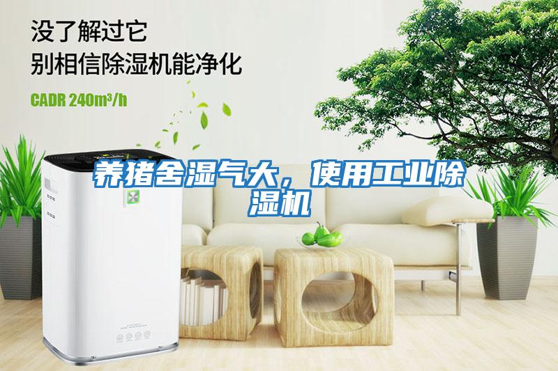 養(yǎng)豬舍濕氣大，使用工業(yè)除濕機