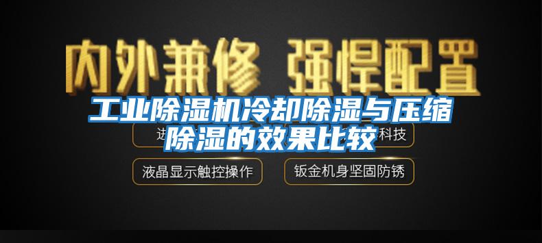 工業除濕機冷卻除濕與壓縮除濕的效果比較