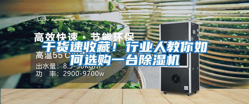 干貨速收藏！行業人教你如何選購一臺除濕機