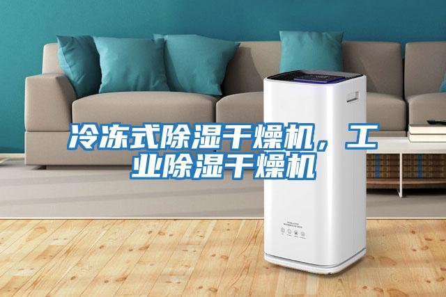 冷凍式除濕干燥機，工業除濕干燥機