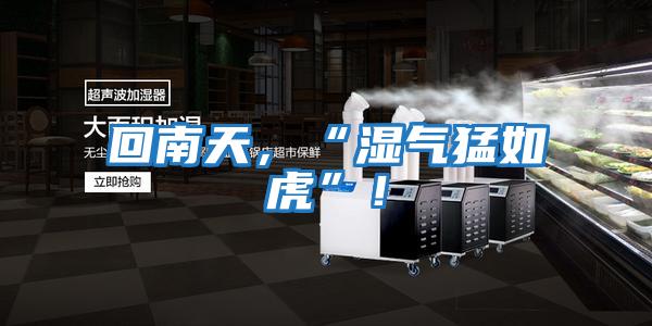 回南天，“濕氣猛如虎”！