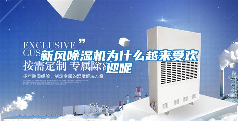 新風(fēng)除濕機為什么越來受歡迎呢