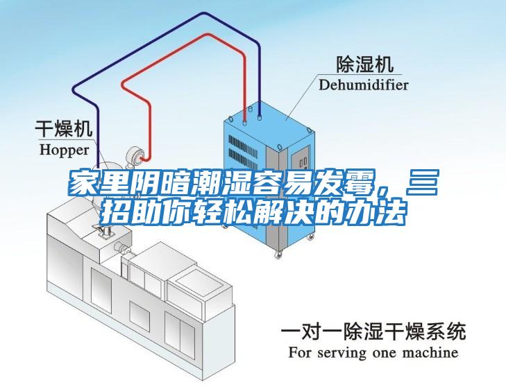 家里陰暗潮濕容易發霉，三招助你輕松解決的辦法