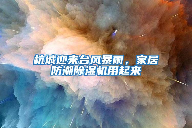 杭城迎來臺風暴雨，家居防潮除濕機用起來