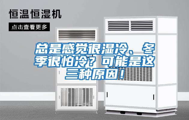 總是感覺很濕冷、冬季很怕冷？可能是這三種原因！