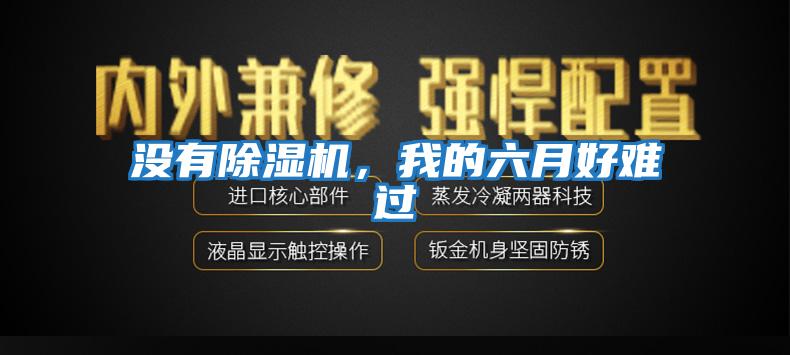 沒(méi)有除濕機(jī)，我的六月好難過(guò)