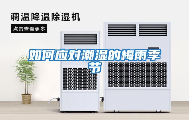 如何應(yīng)對潮濕的梅雨季節(jié)