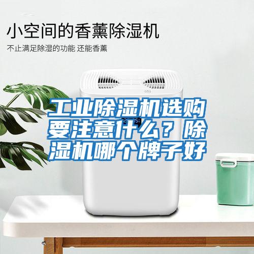 工業(yè)除濕機(jī)選購要注意什么？除濕機(jī)哪個牌子好