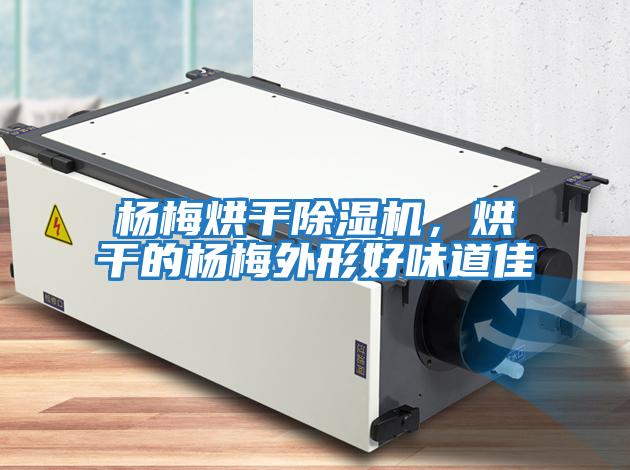 楊梅烘干除濕機，烘干的楊梅外形好味道佳