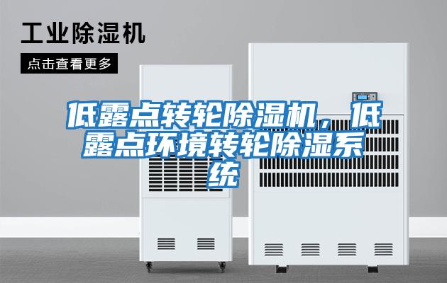 低露點(diǎn)轉(zhuǎn)輪除濕機(jī)，低露點(diǎn)環(huán)境轉(zhuǎn)輪除濕系統(tǒng)