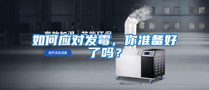 如何應對發霉，你準備好了嗎？